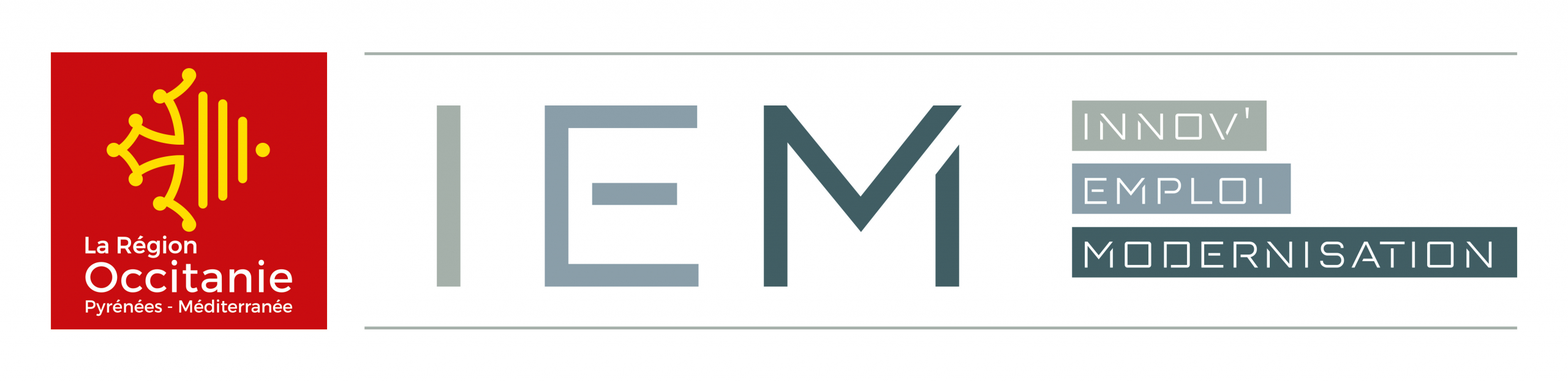 logo IEM